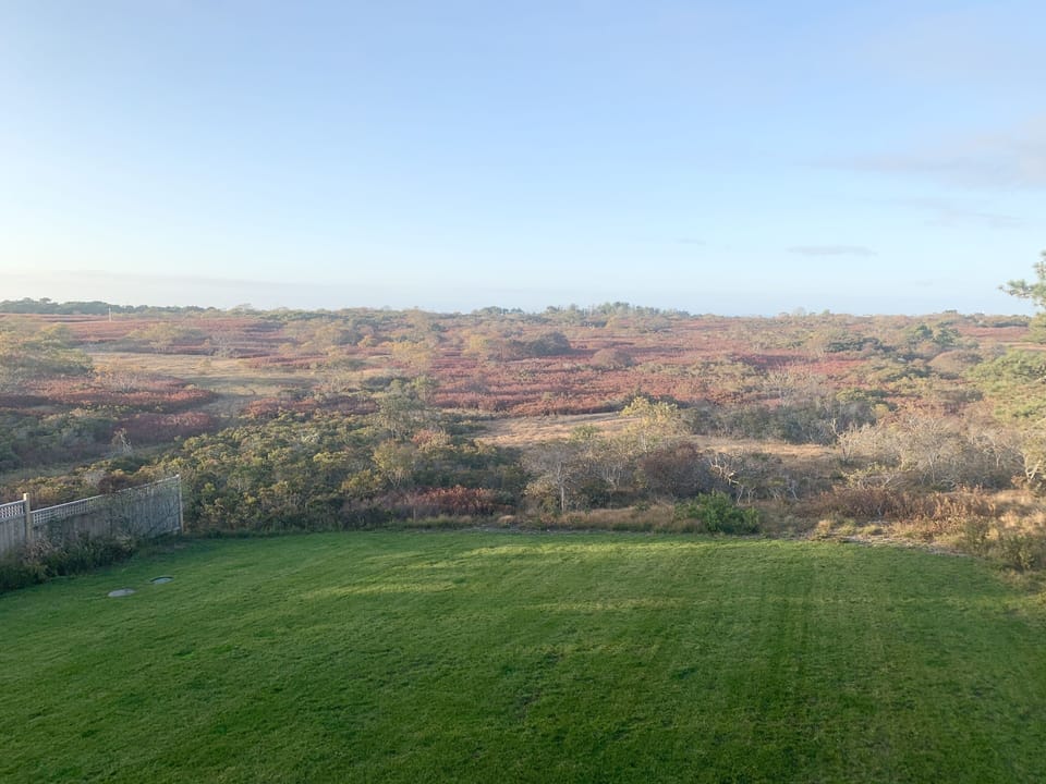 View from Upper Deck