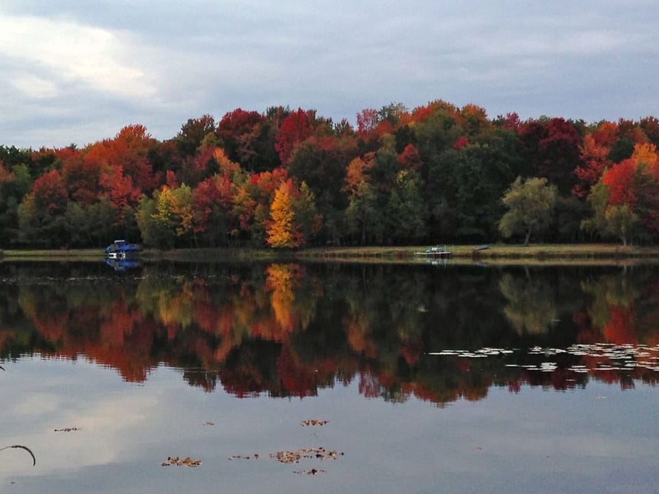 Beautiful landscapes at the lake