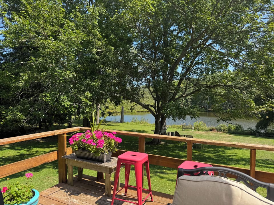 Backyard and pond
