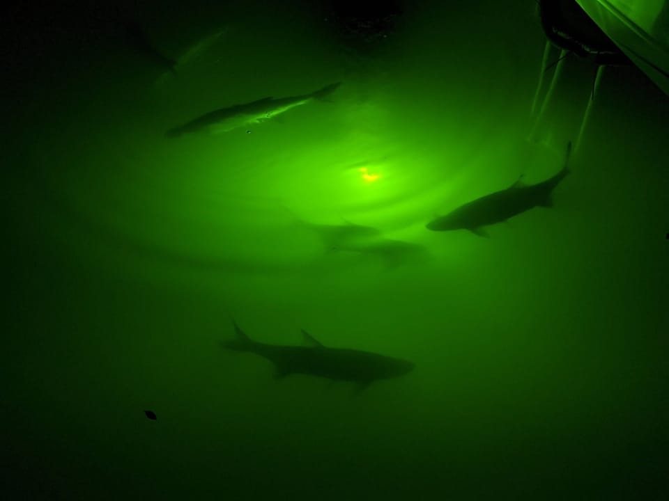 Underwater lights off of your own private dock! 