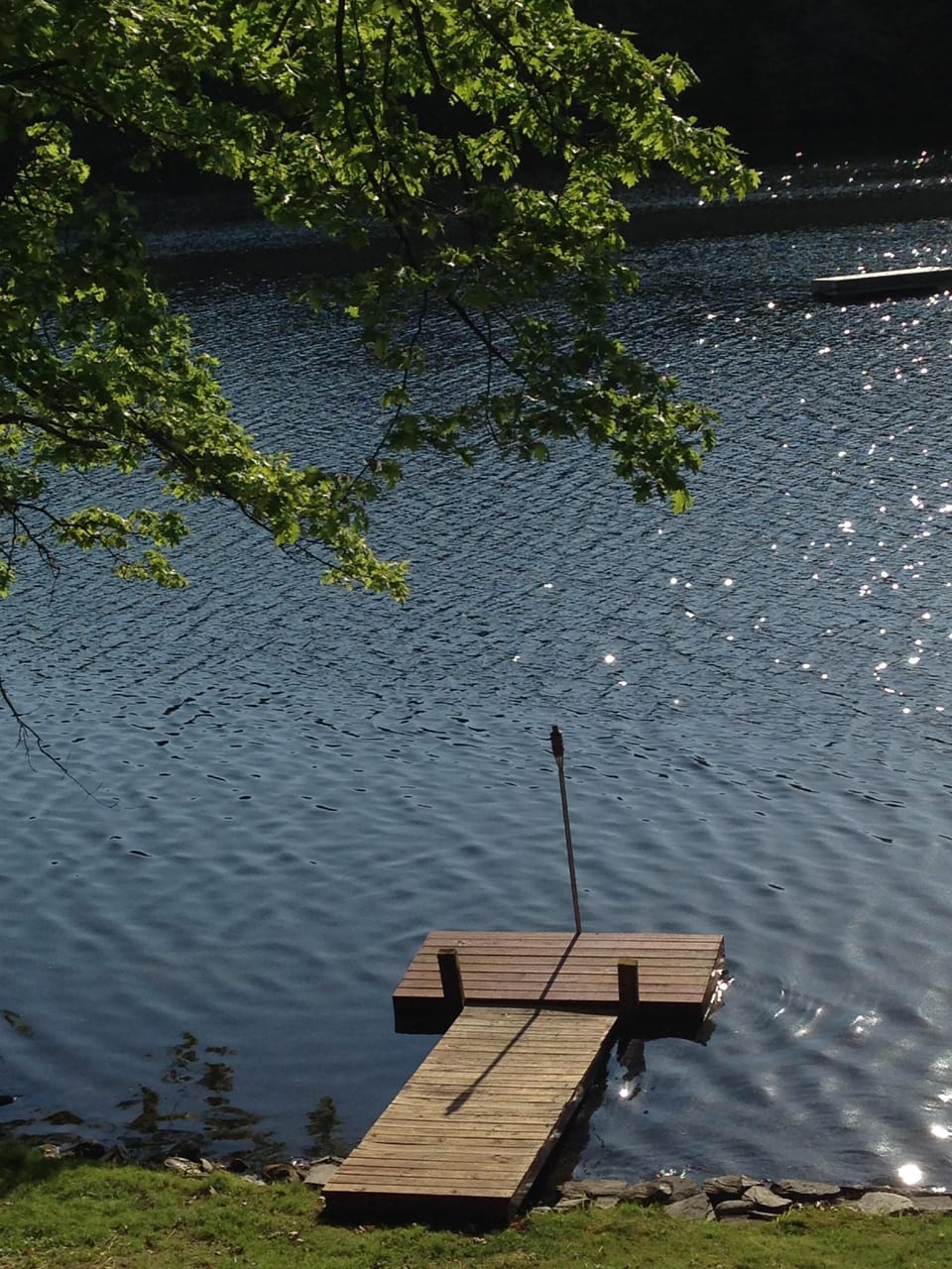 our dock and lake from the deck in summer