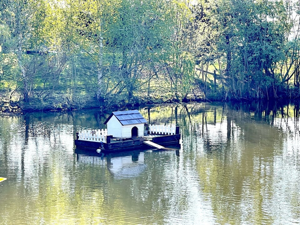 The Duck House!