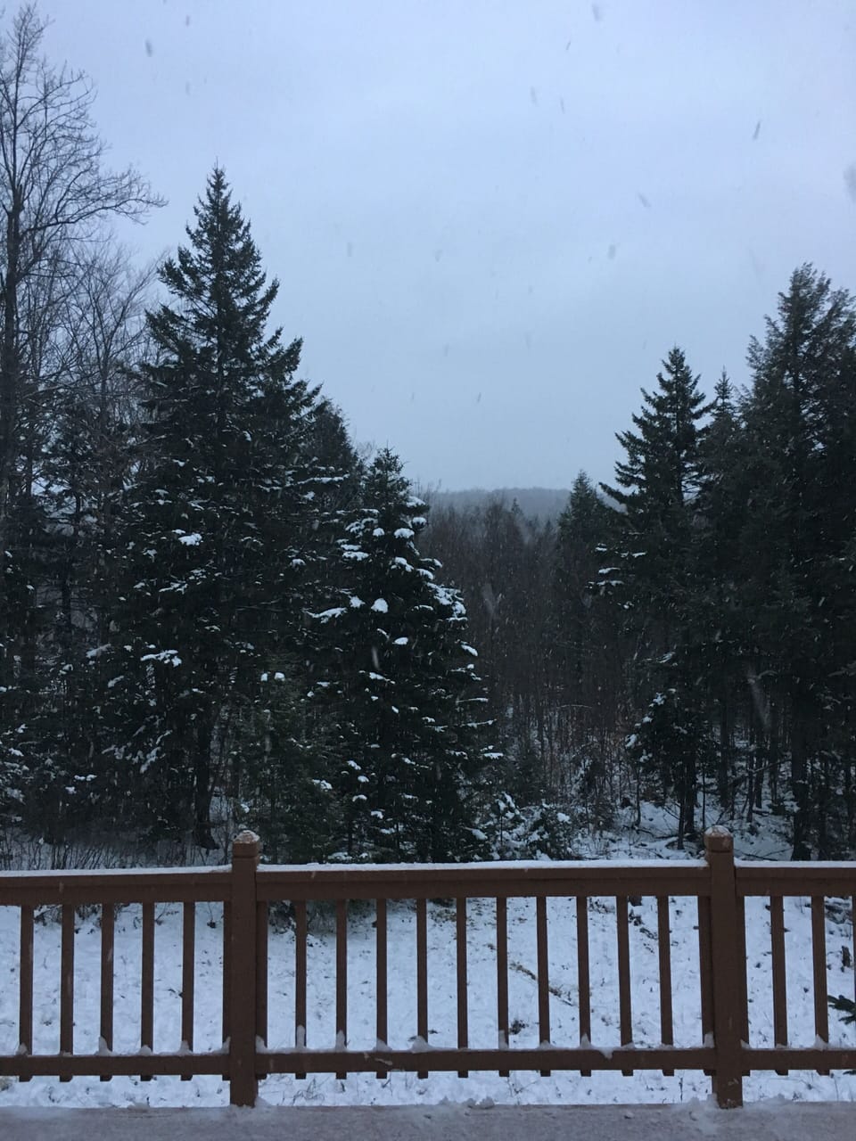 View from the deck (Winter)