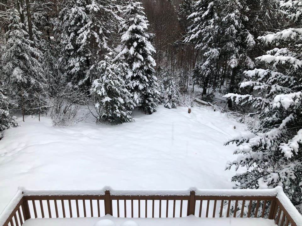 Backyard view from the 2nd floor bedroom - floor to ceiling windows and views