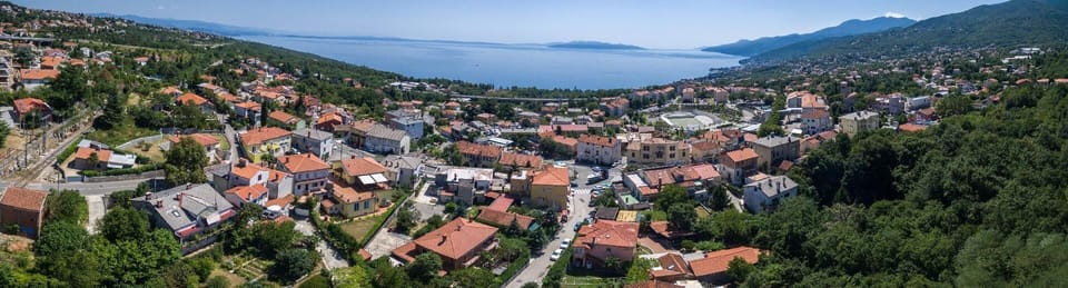Town/city in general