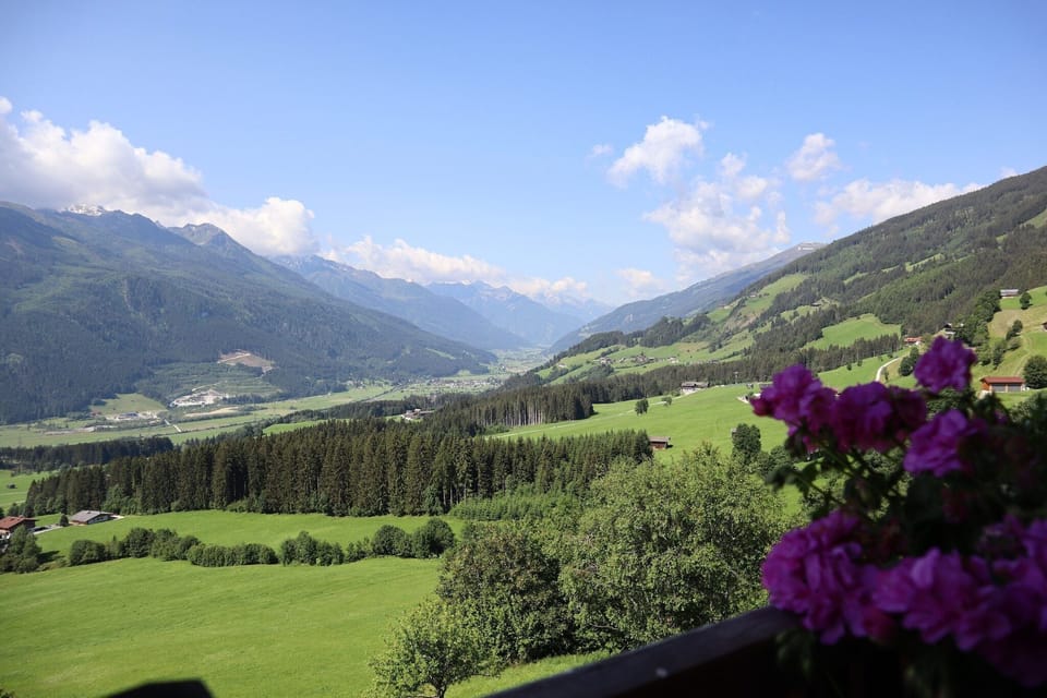 View from Holiday Home [summer]