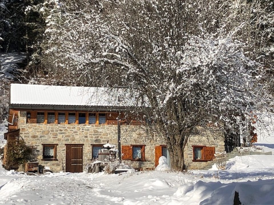 Semi-detached stone chalet in Anzère in the snow
