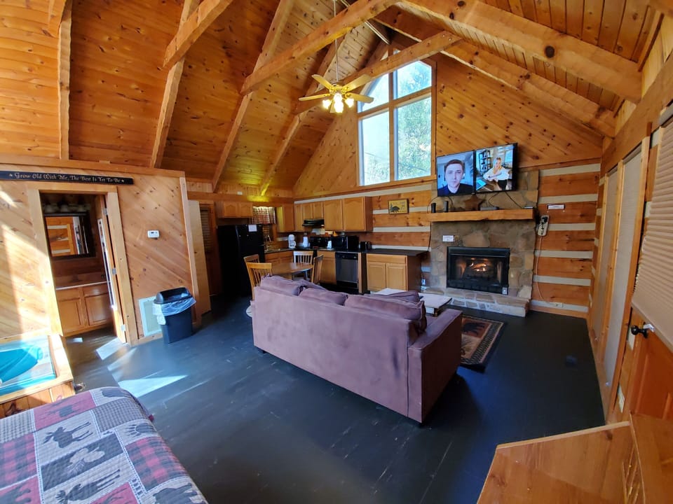 Living and Kitchen Area - All the comforts in one area.