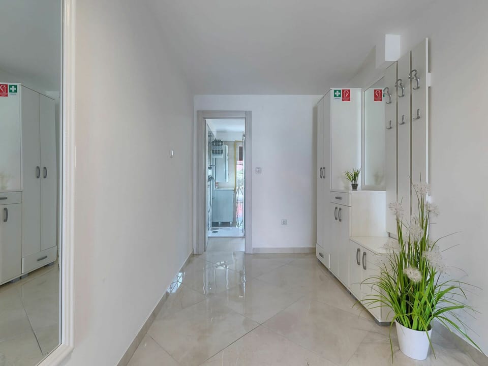 Plant, Building, Houseplant, Flowerpot, Door, Interior Design, House, Floor, Wood