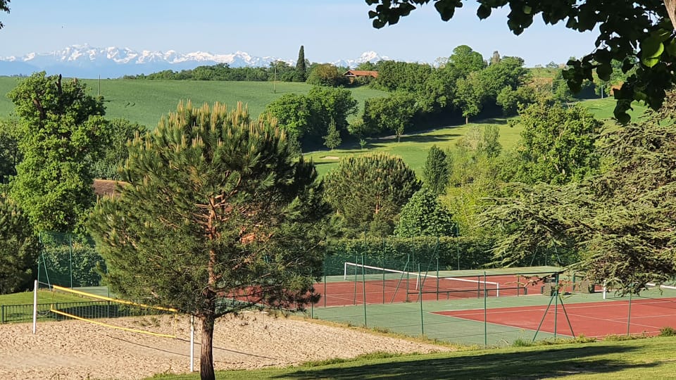 Sport court
