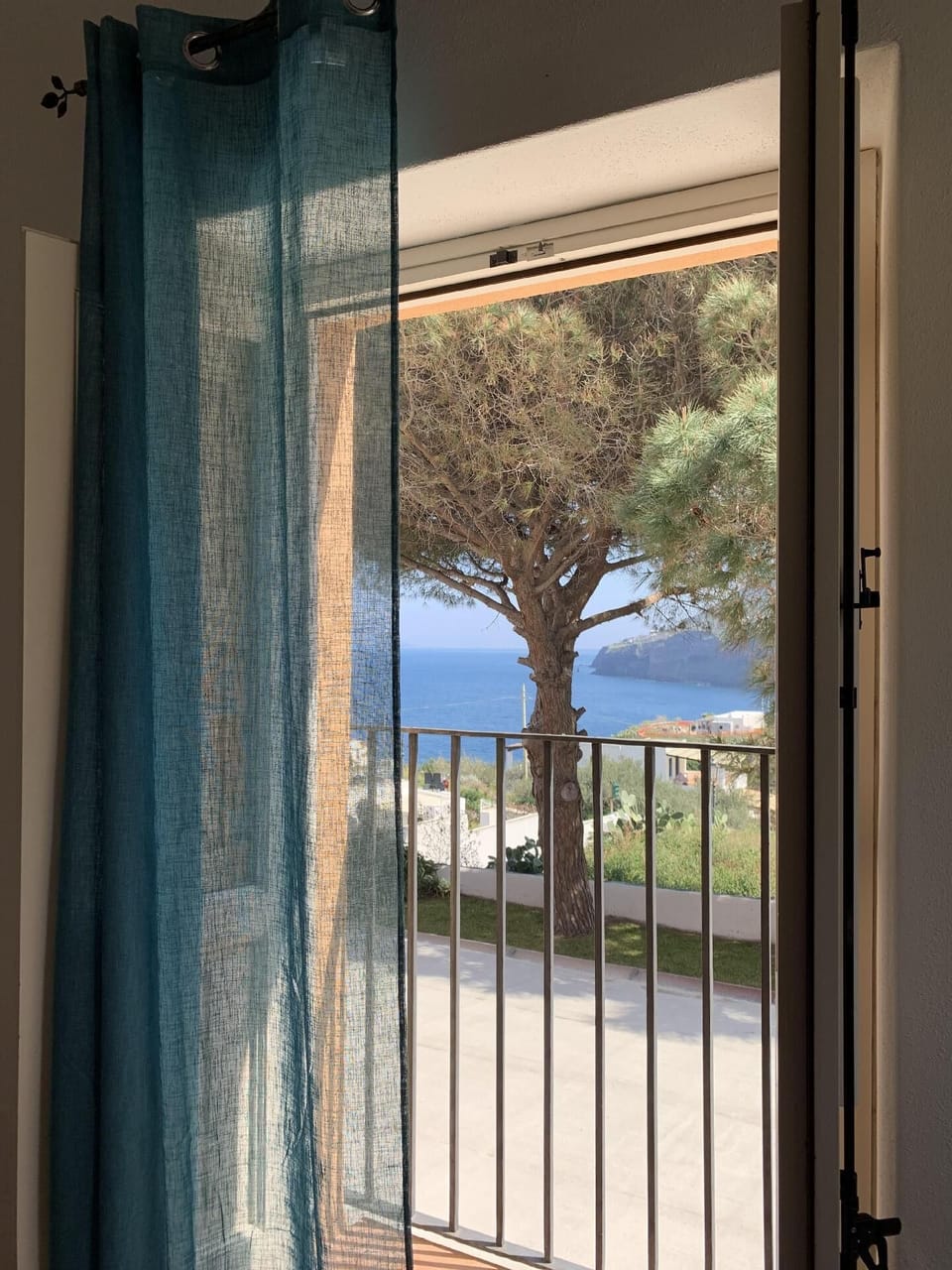 View from the window