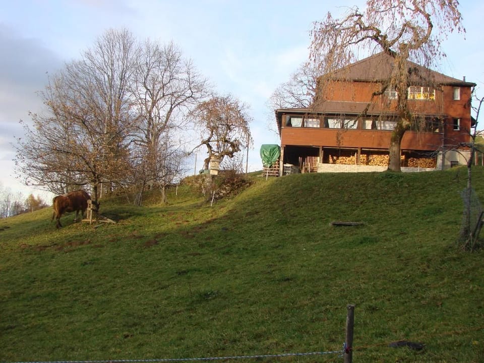 Picture 2