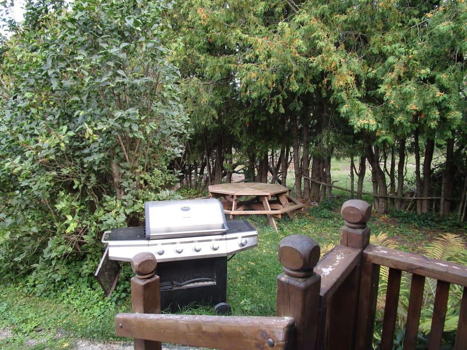BBQ and picnic table outside the cottage