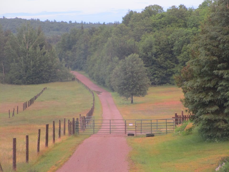 looking down the lane