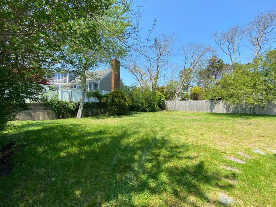 View from the driveway to the backyard.
