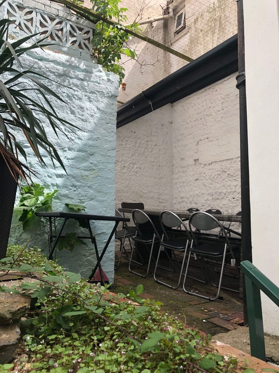 Patio Garden with seating for 10 for dinner 