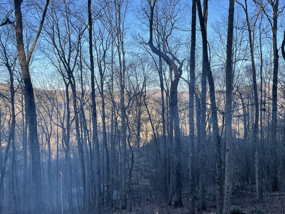 View from driveway