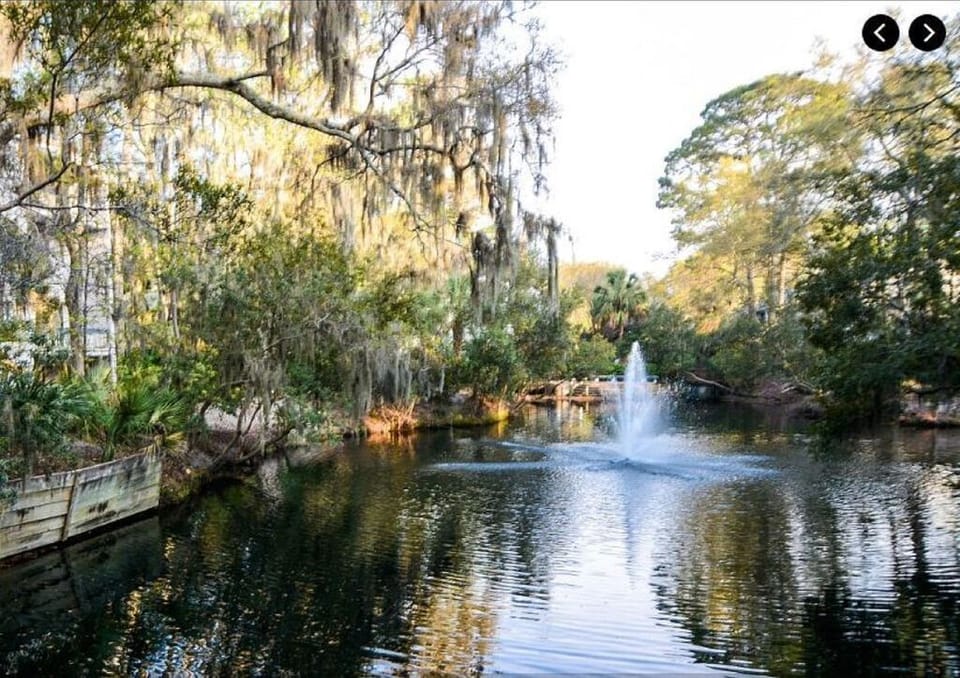This beautiful view is in our complex.