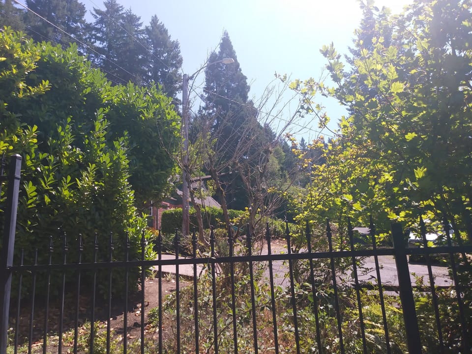 View from end of driveway, there is a gate that is kept open for guests.