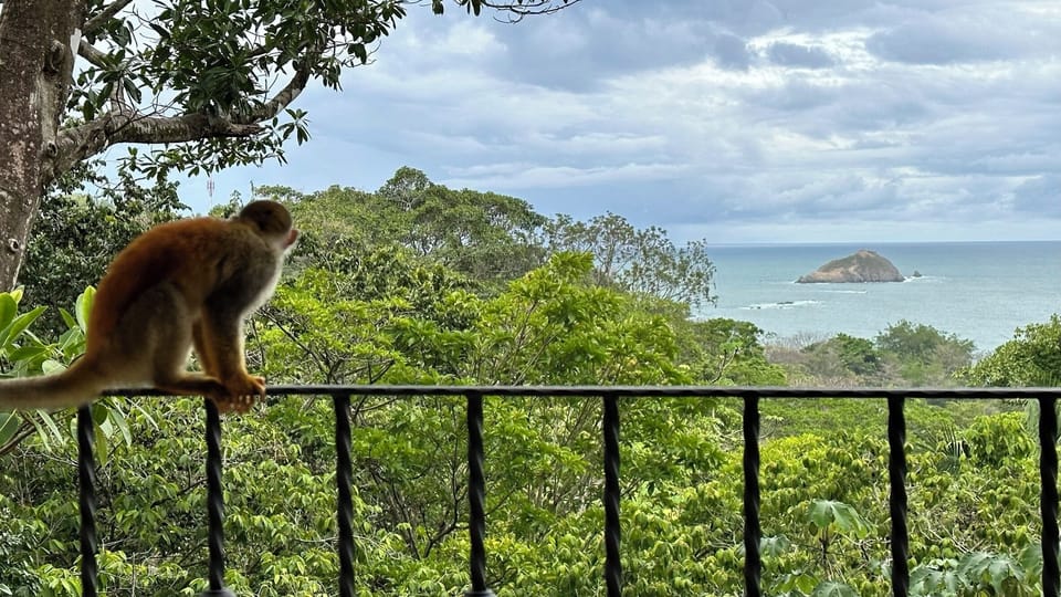 Everyone stops for the view
