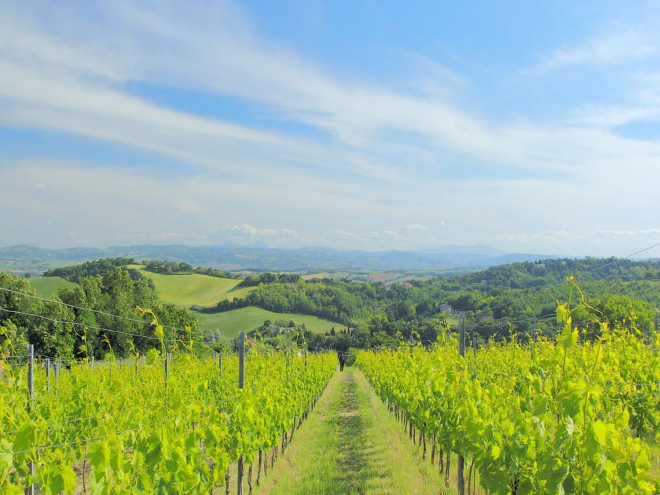 Surroundings [summer] (1-5 km)