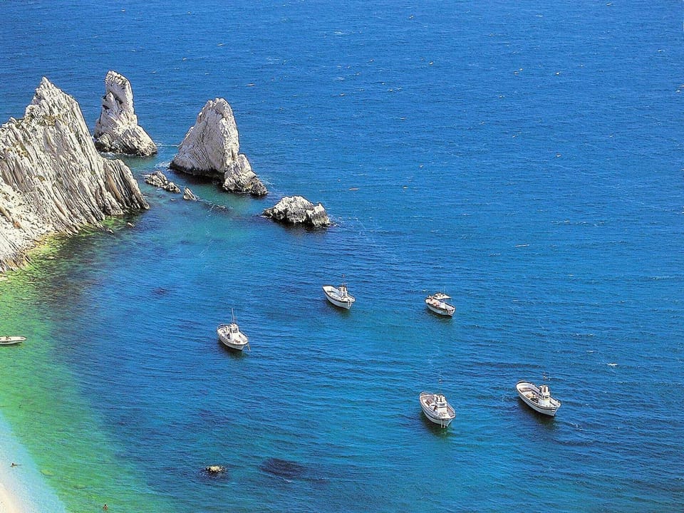 Region [summer] (>5 km)