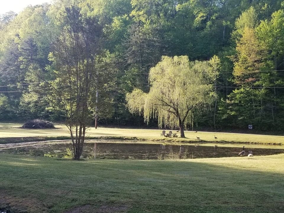 Sky Harbor Resort Catch & Release Pond