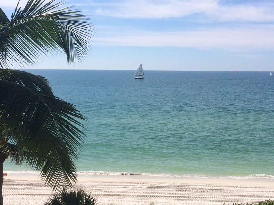 VIEW FROM LIVING ROOM