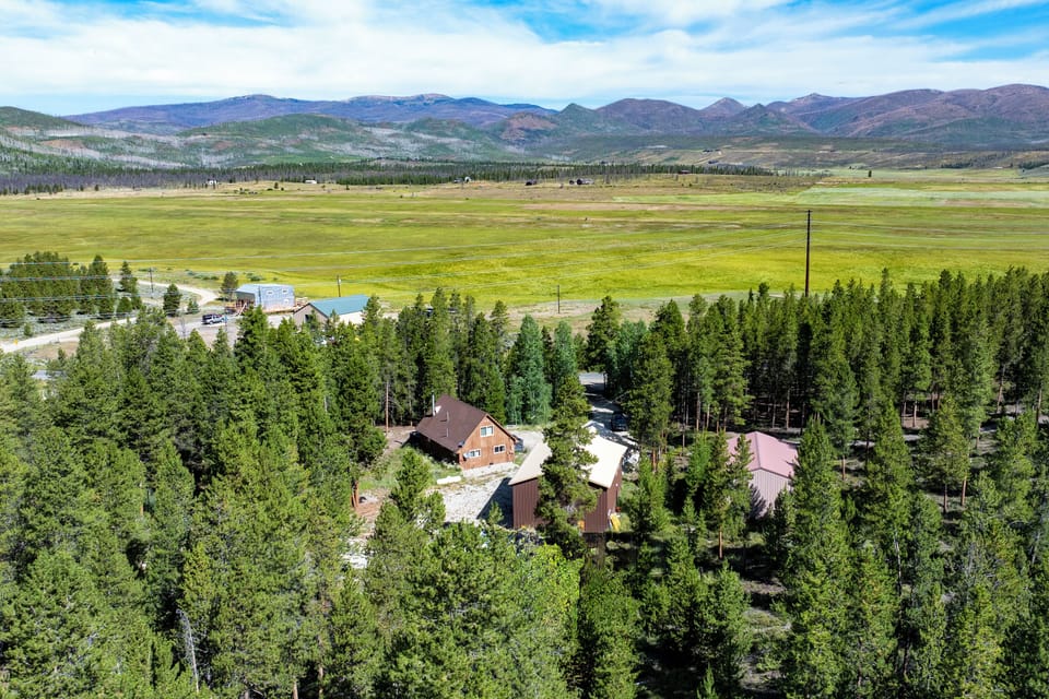 Surrounded by Evergreen Trees