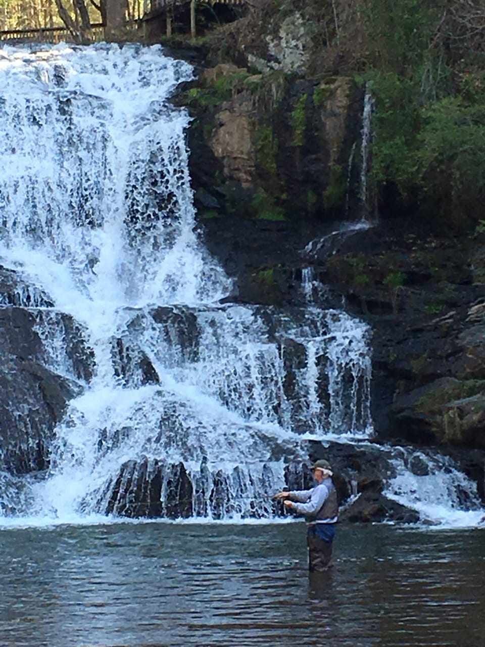 Fly fishing for trout. 