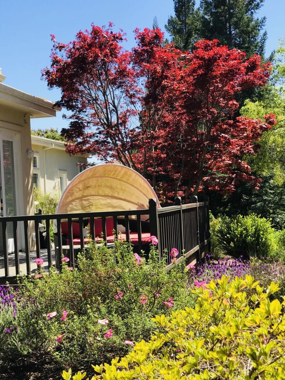 Private patio just outside of your suite.