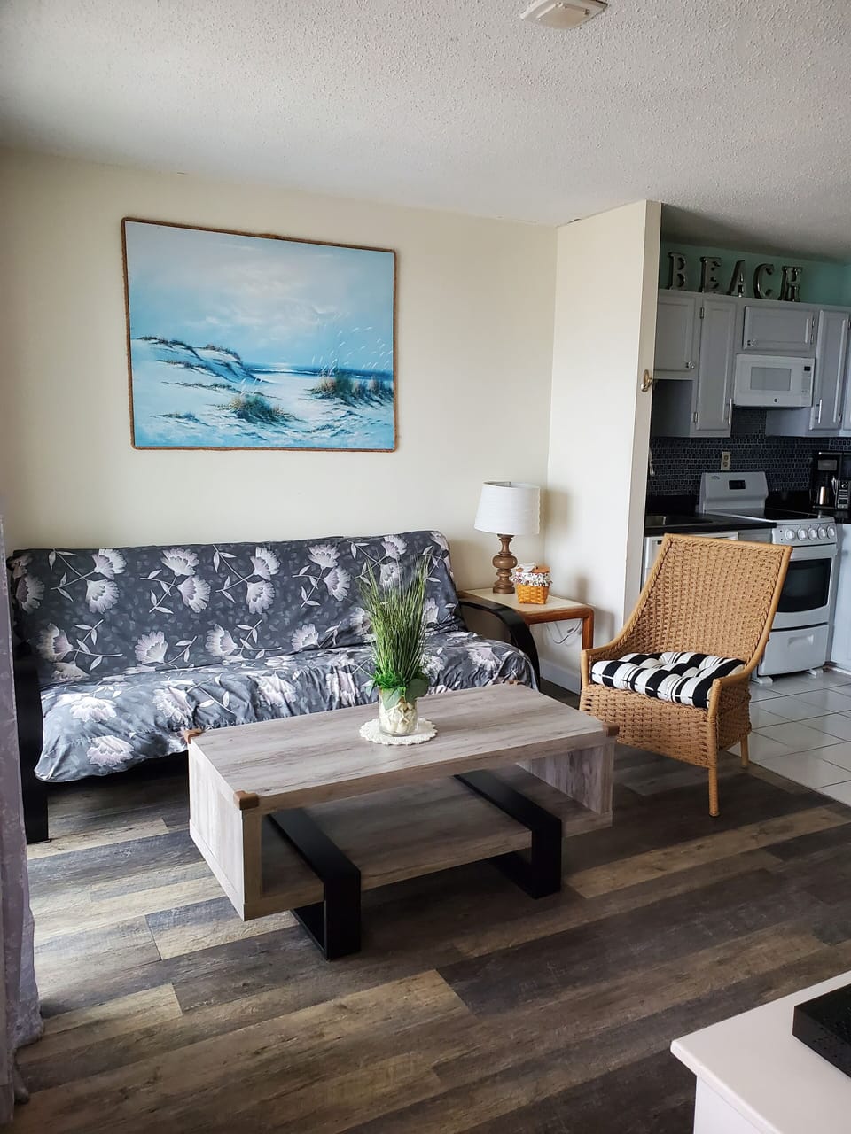 Cozy living room.  Futon comes down to full size bed.