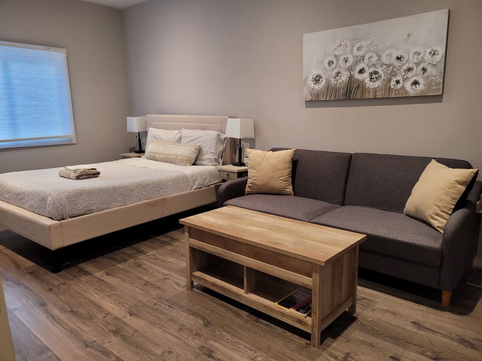 Living room/bedroom