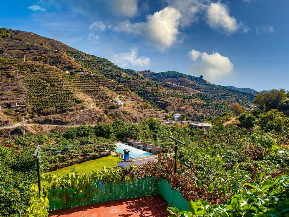 Cloud, Sky, Mountain, Plant, Plant Community, Ecoregion, Natural Landscape, Vegetation, Land Lot, Highland