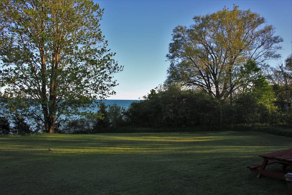 Wooded area with no neighbour west side of the property & also across the street