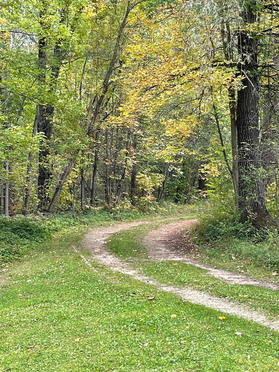 From the front of the cabin, going up the driveway