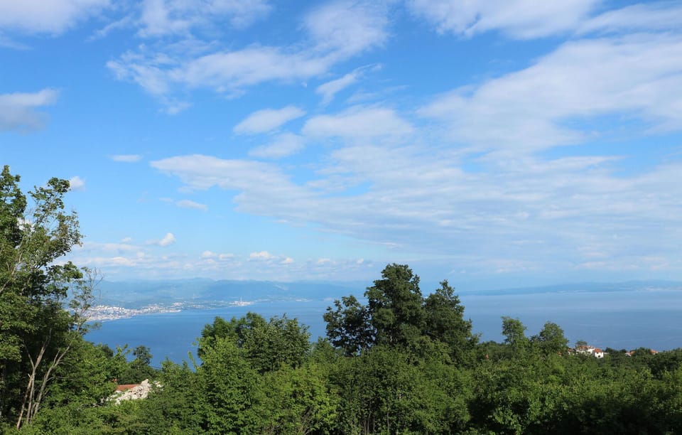 view-from-room
