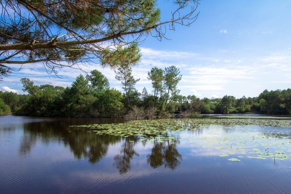 Lake