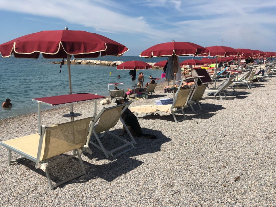 Beach