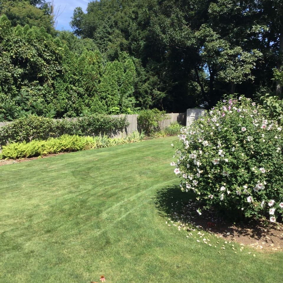 Private backyard to enjoy   