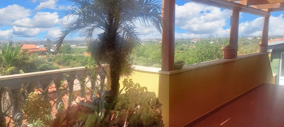 Areal view