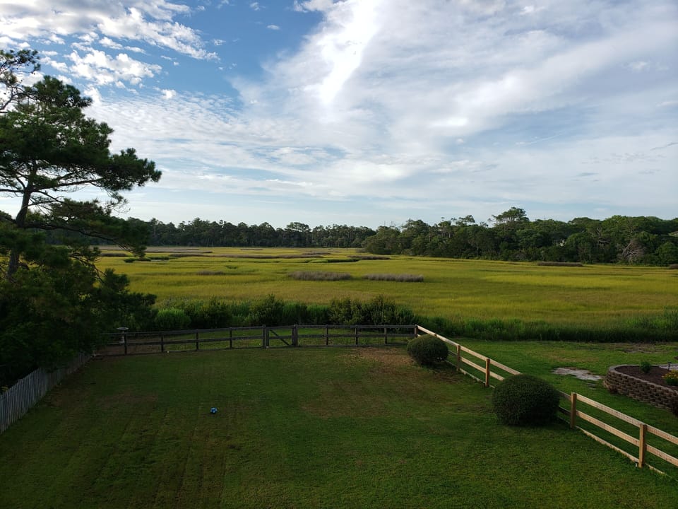 Big back yard