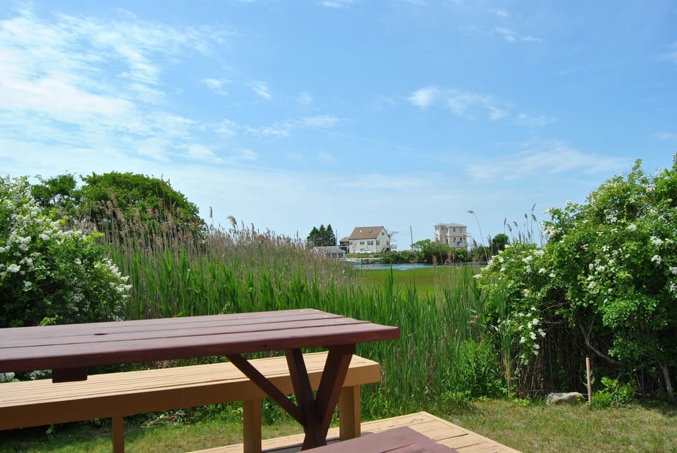 View to Potter's Pond from deck