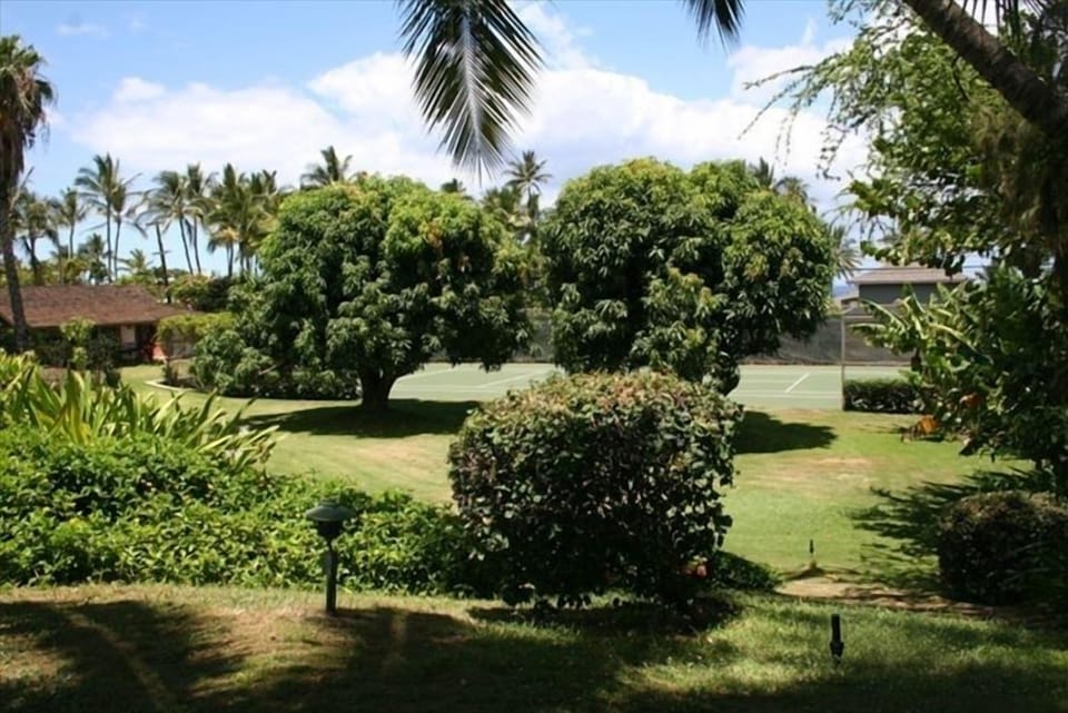 View from lanai