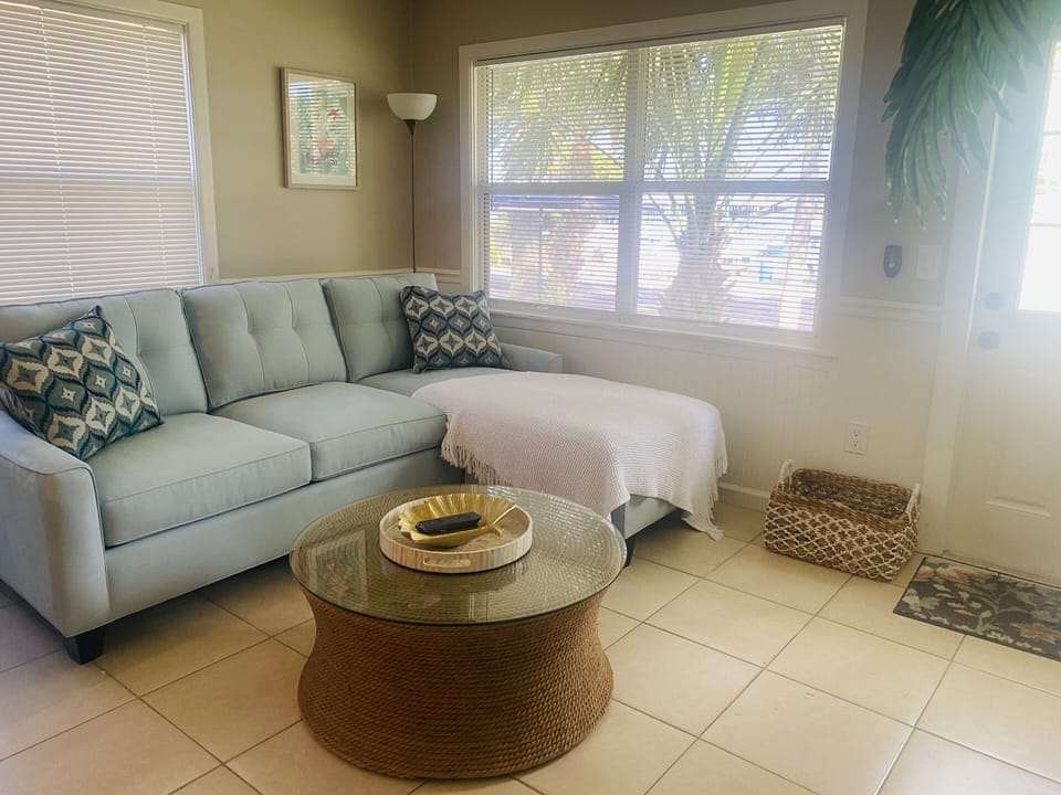 Living area with sleeper sofa