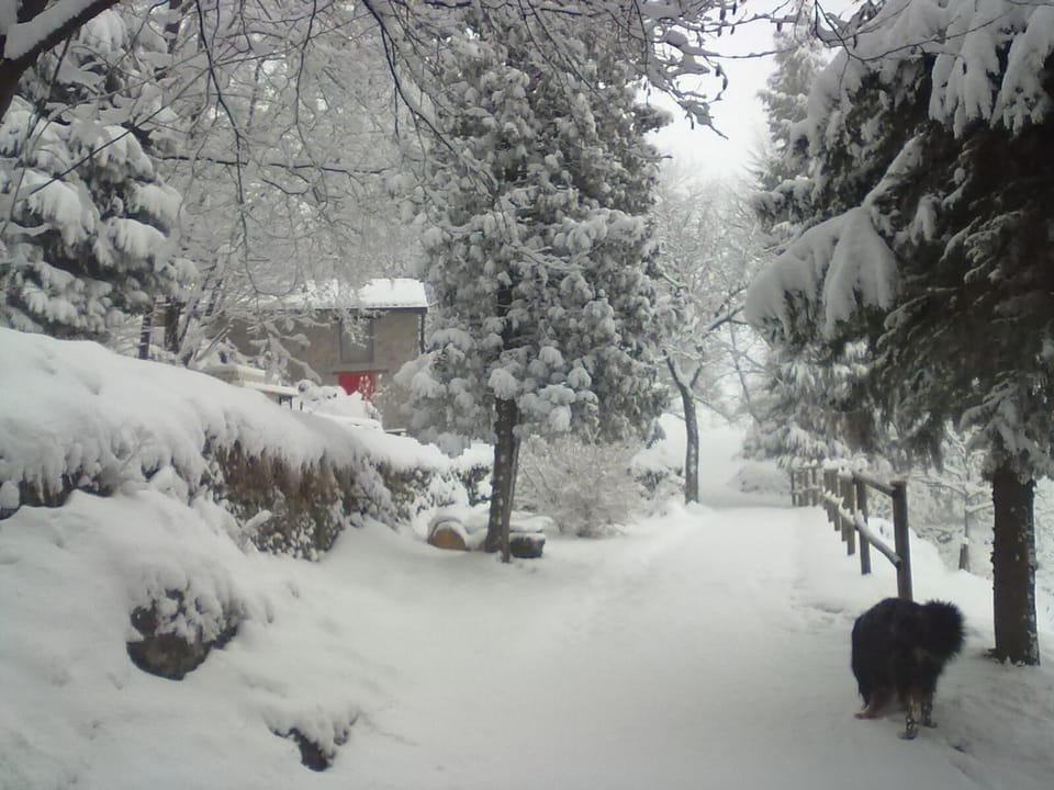 Only few days with snow between December and March