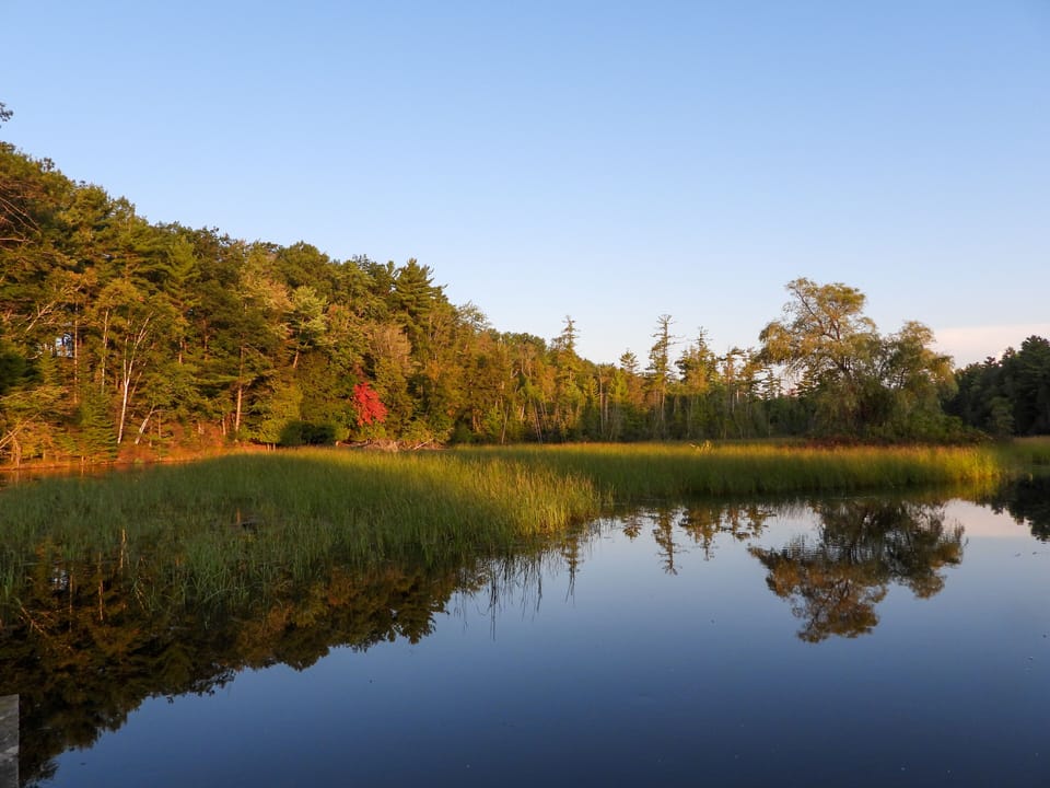 View from lodge of pond in fall