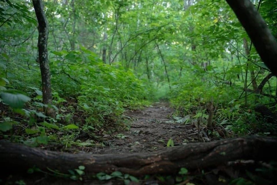 Reconnect with the wild (only a short hike away) to explore the rugged beauty of the mountains.
