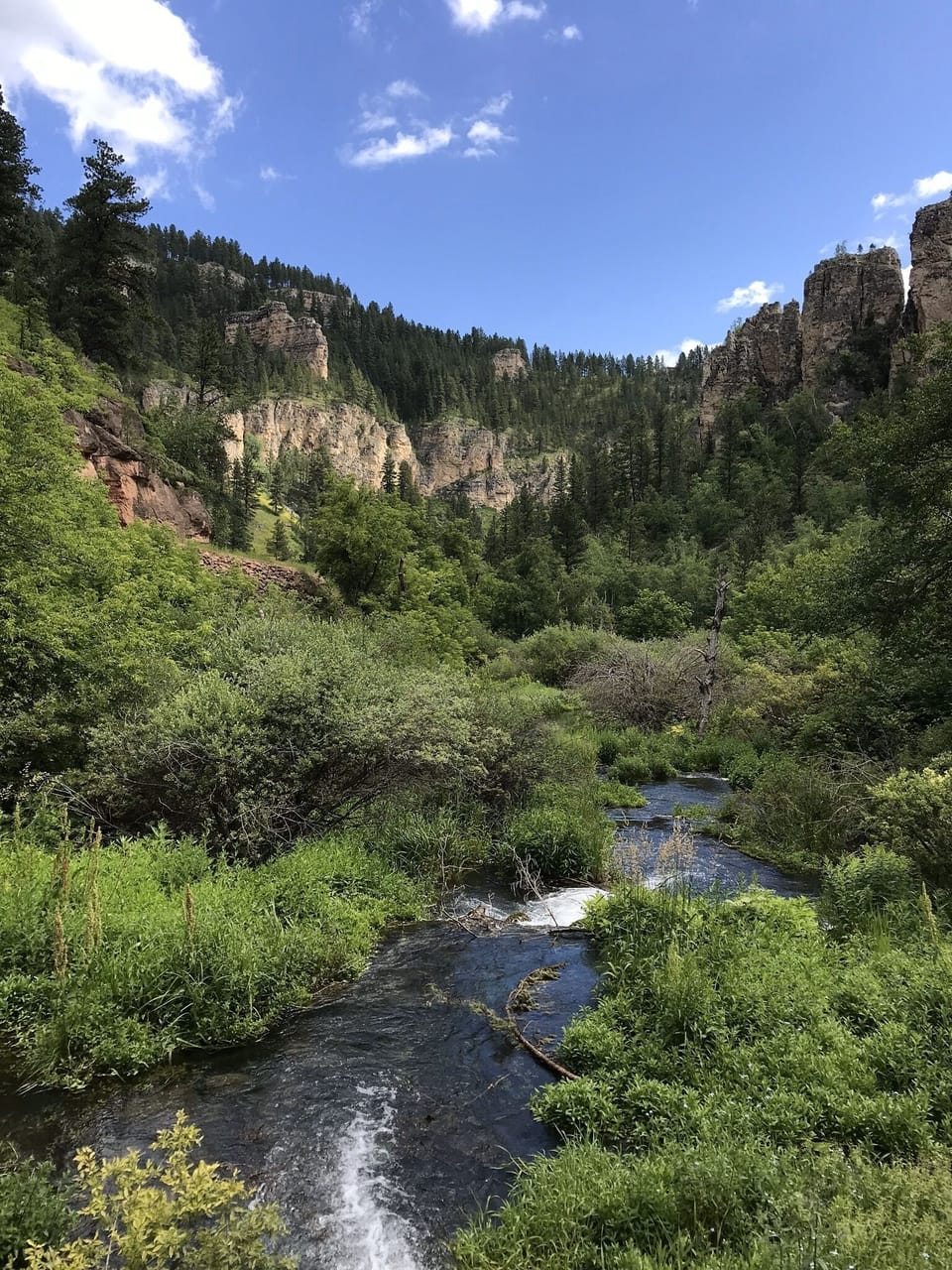 Spearfish Canyon (Summer)