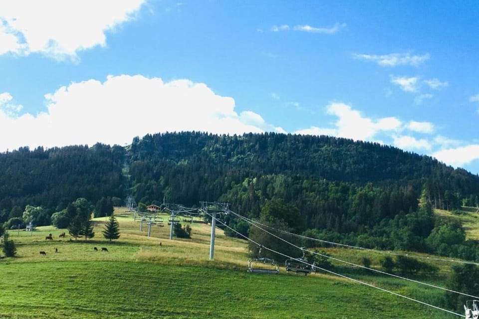 Region [summer] (>5 km)